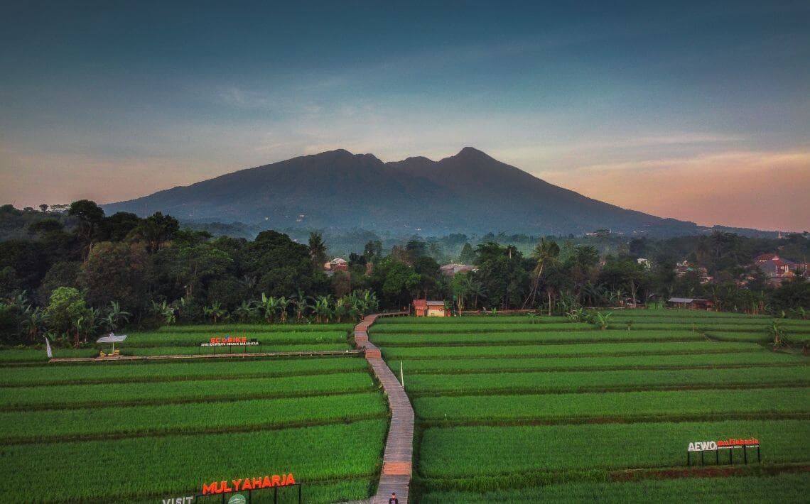 Jakarta Airport to Bogor