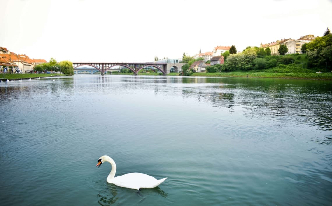 Graz Airport to Maribor