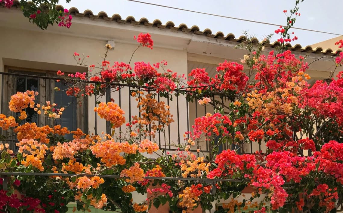 Kefalonia Airport to Fiskardo