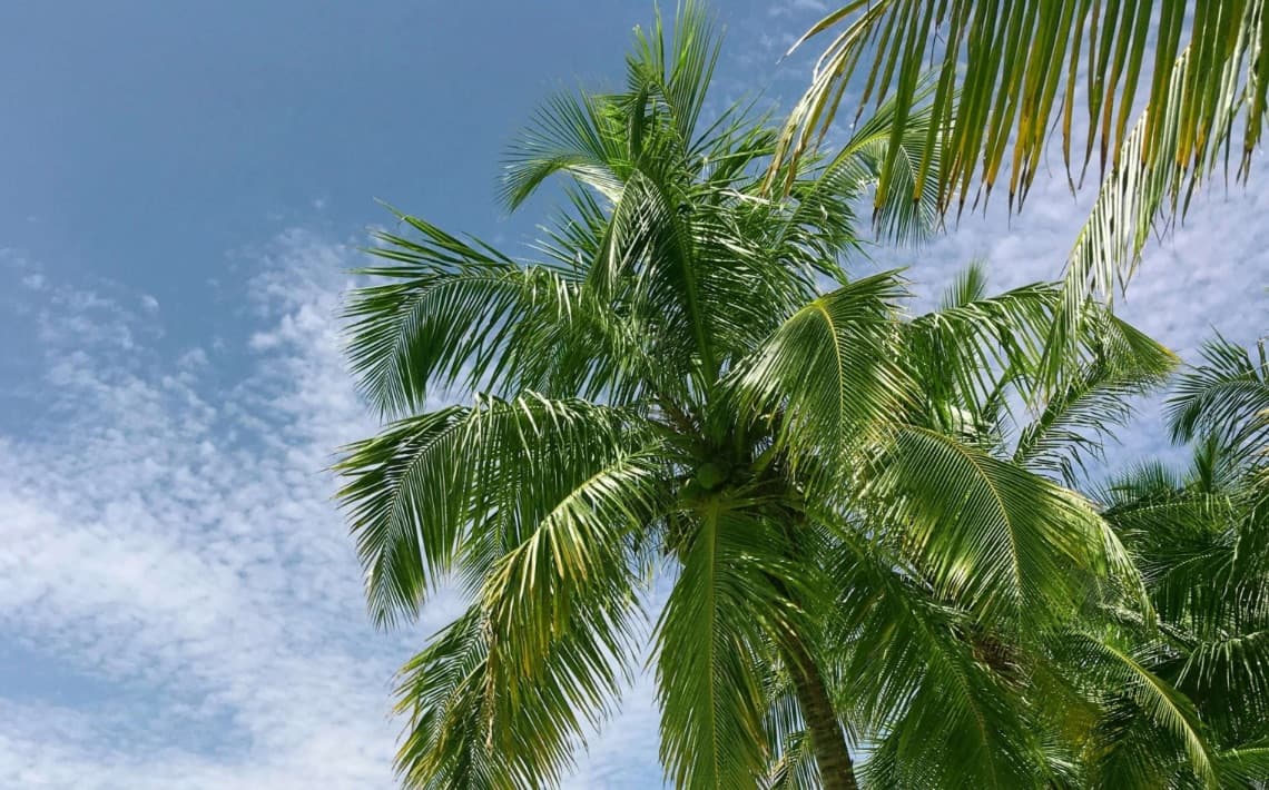 Kos Airport to Mitsis Norida