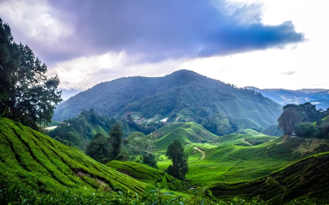 Kuala Lumpur Airport to Cameron Highlands