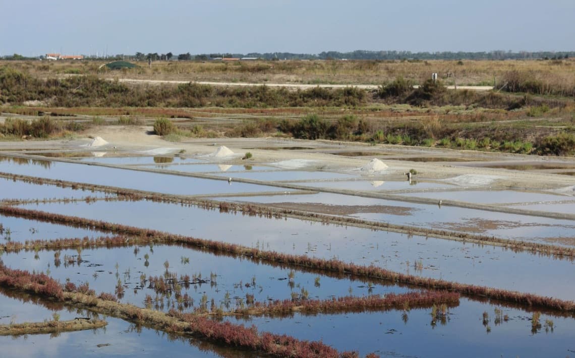 La Rochelle Airport to Ars en Re