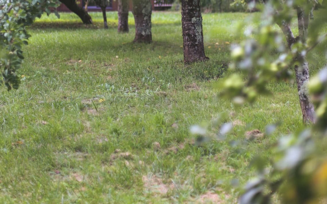 La Rochelle Airport to Saintes