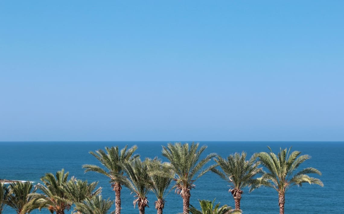 Leonardo Laura Beach & Splash Resort Hotel Transfers in Paphos