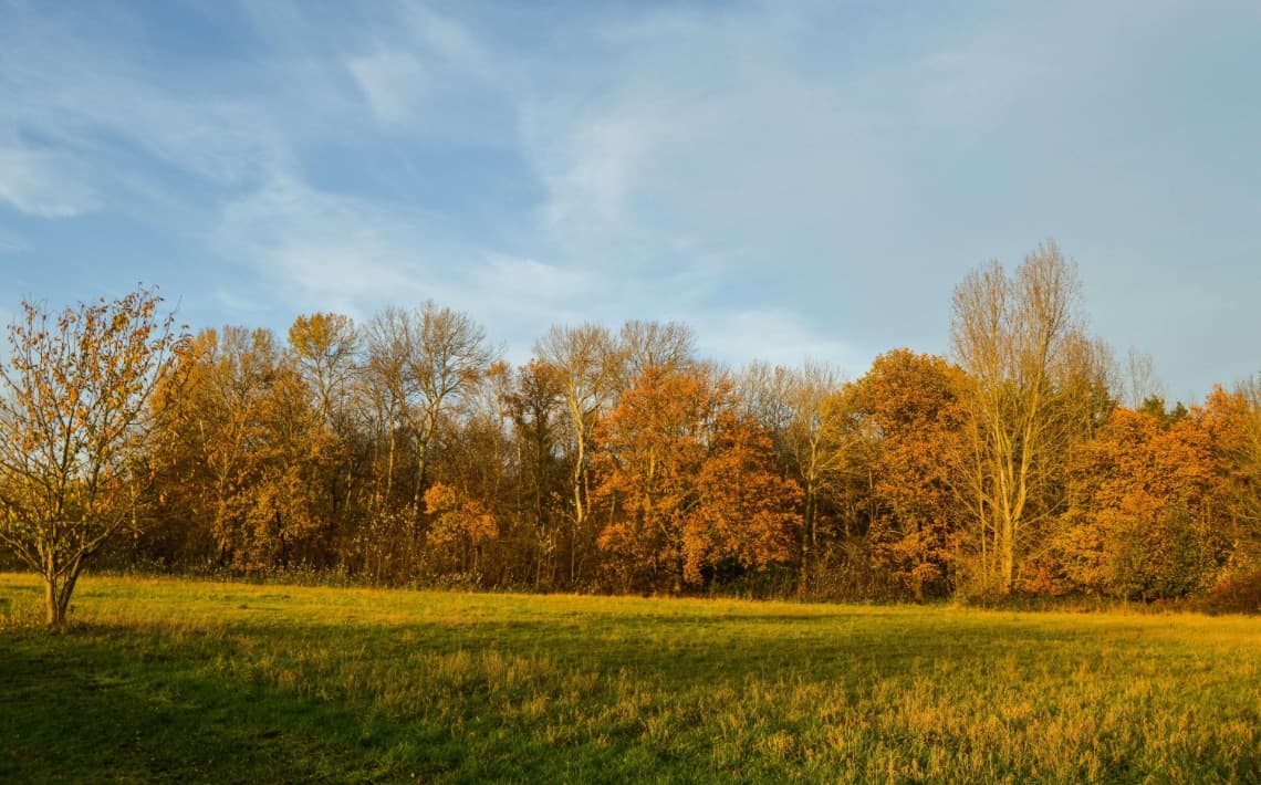 Liege Airport to Sint Truiden