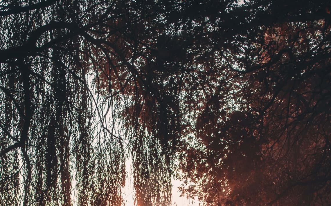 Lisbon Airport to Melides