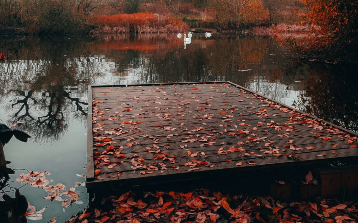 London City Airport to Bracknell