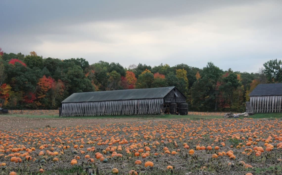 London Heathrow Airport to Enfield