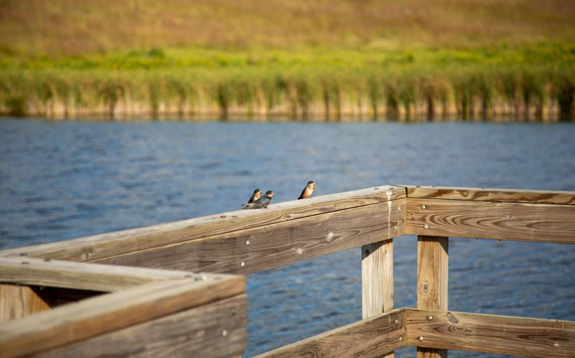 London Heathrow Airport to Slough