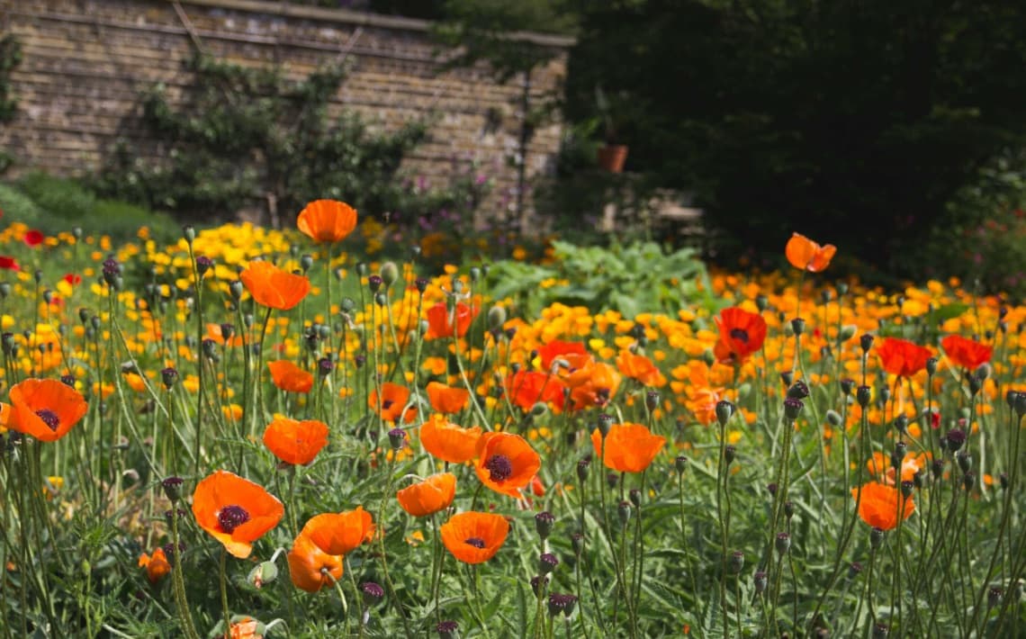London Stansted Airport to Enfield