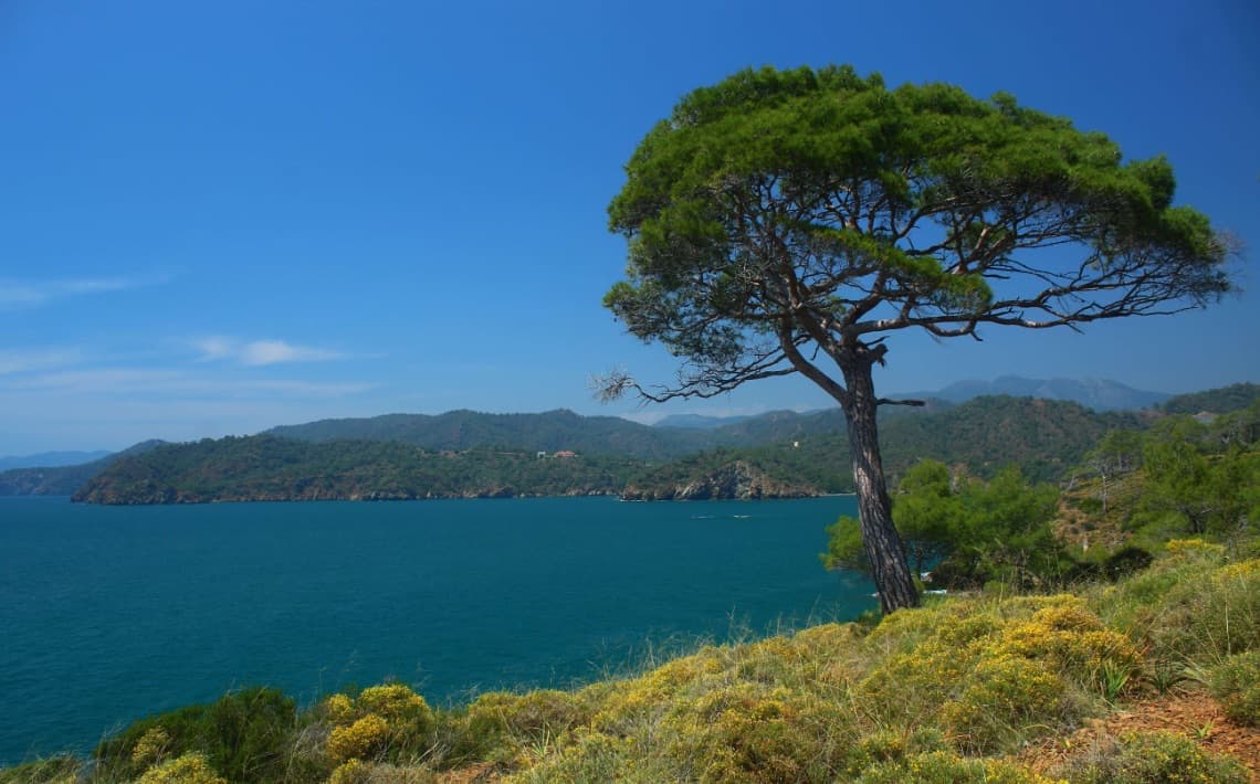 Lykia Botanika Beach & Fun Club Transfers