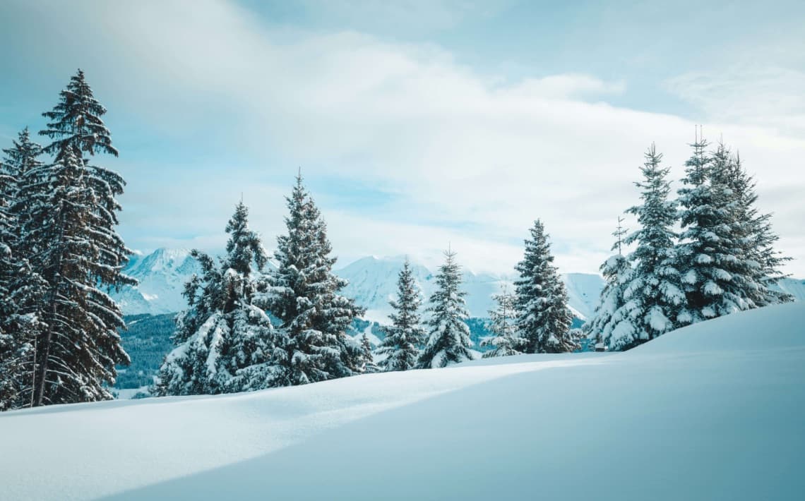 Lyon Airport to Megeve