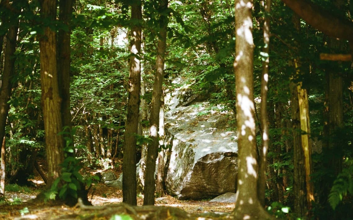 Malaga Airport to Riviera del Sol