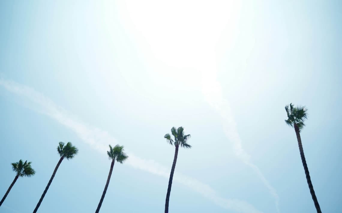 Malaga Airport to Sotogrande