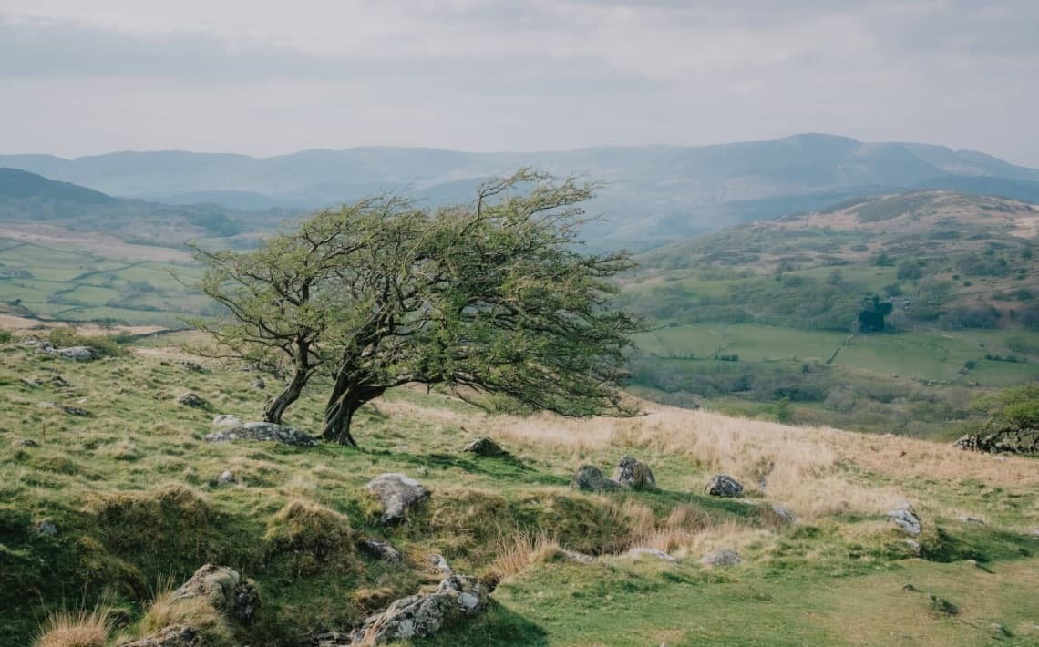 Manchester Airport to Dolgellau