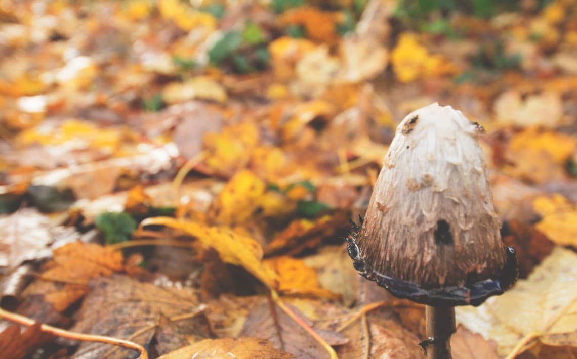 Manchester Airport to Eccles