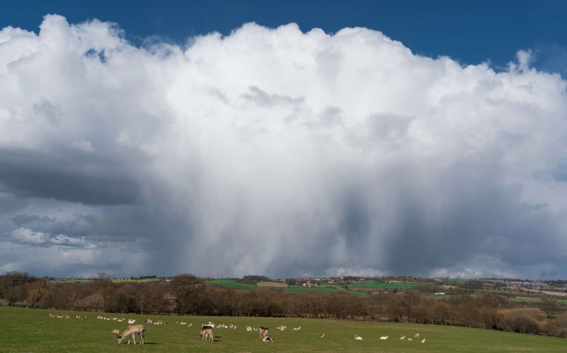 Manchester Airport to Rotherham