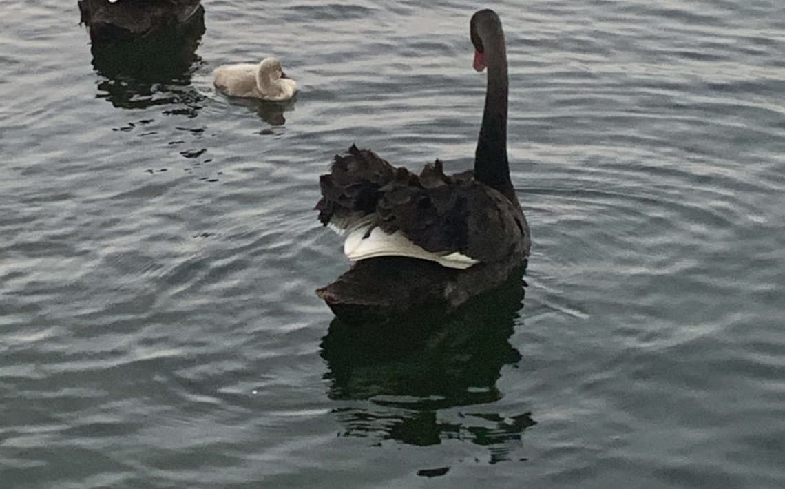 Melbourne Airport to Point Cook