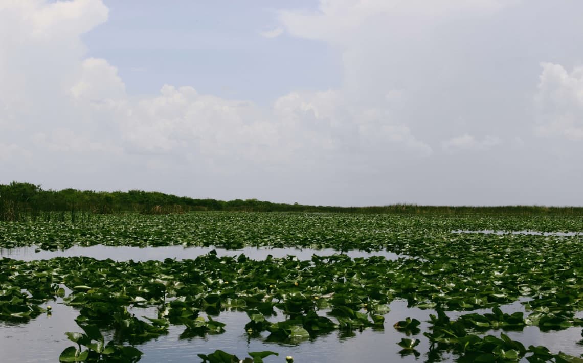Miami Airport to Everglades National Park