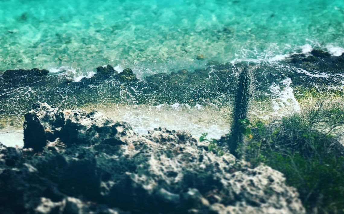 Milan Linate Airport to Navigli