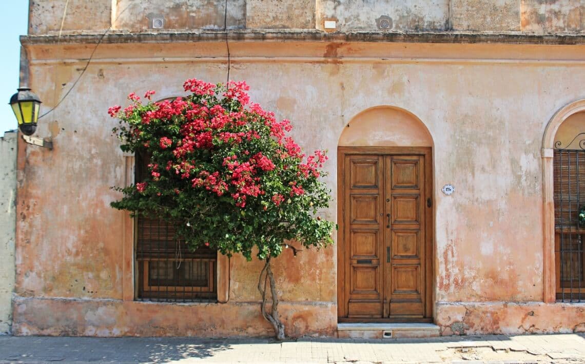 Montevideo Airport to Colonia Del Sacramento