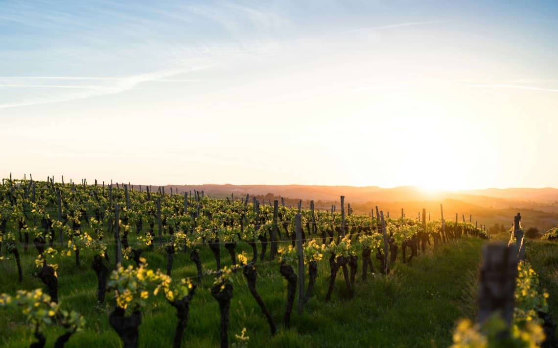 Montpellier Airport to Carcassonne