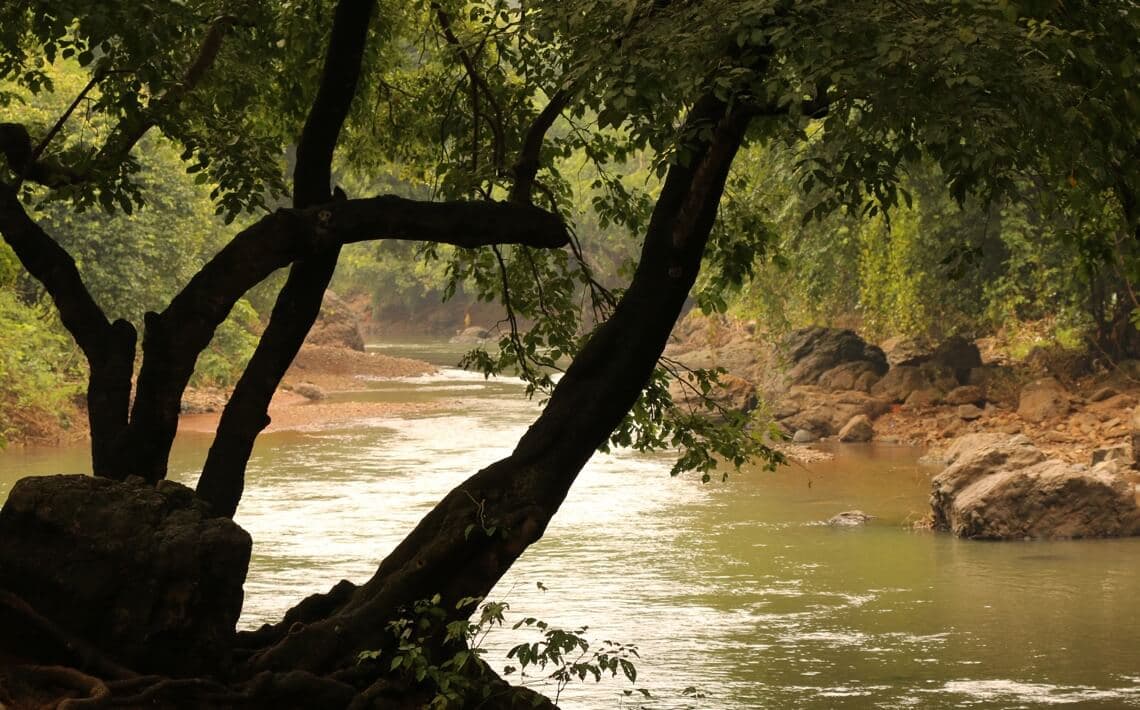 Mumbai Airport to Borivali