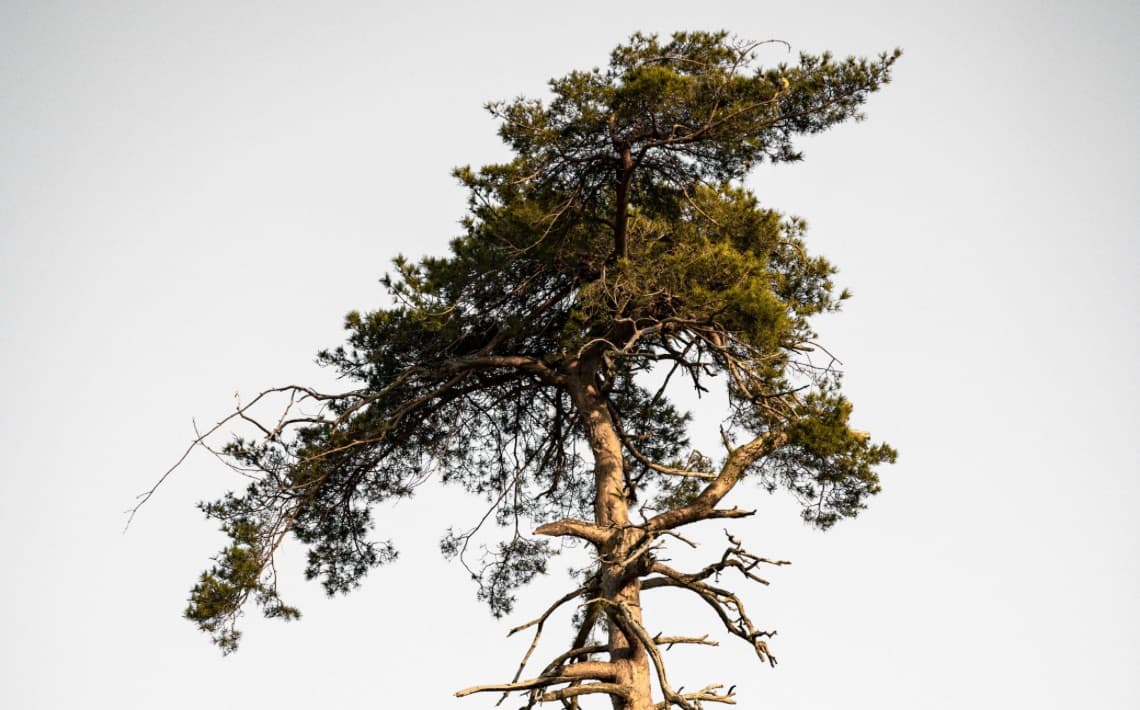 Munich Airport to Germering