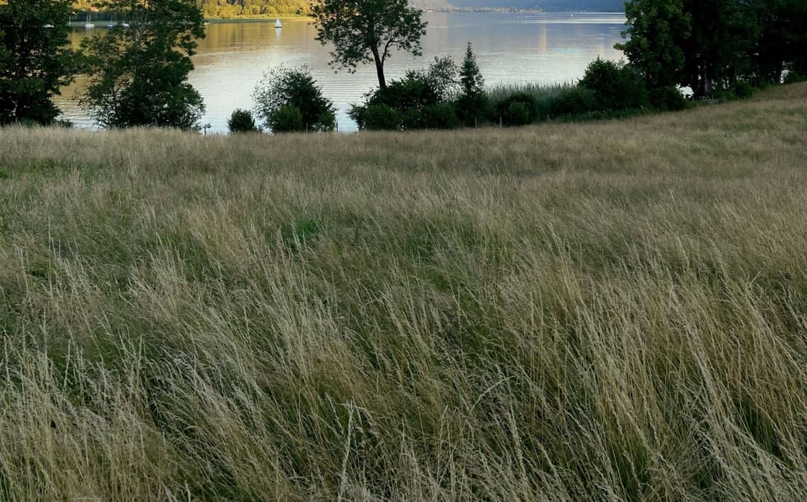 Munich Airport to Tegernsee