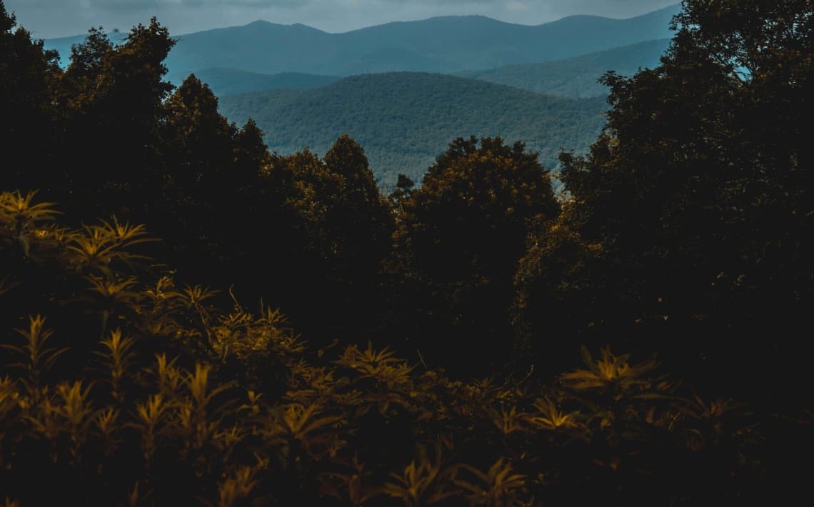 Myrtle Beach Airport to Calabash NC