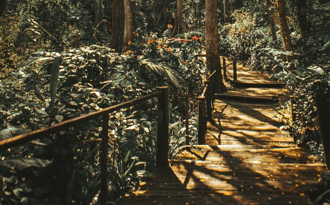 Nadi Airport to City Center