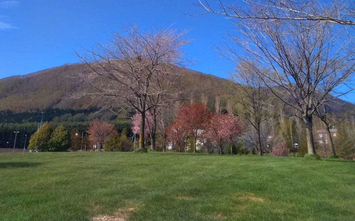 Sapporo New Chitose Airport to Rusutsu