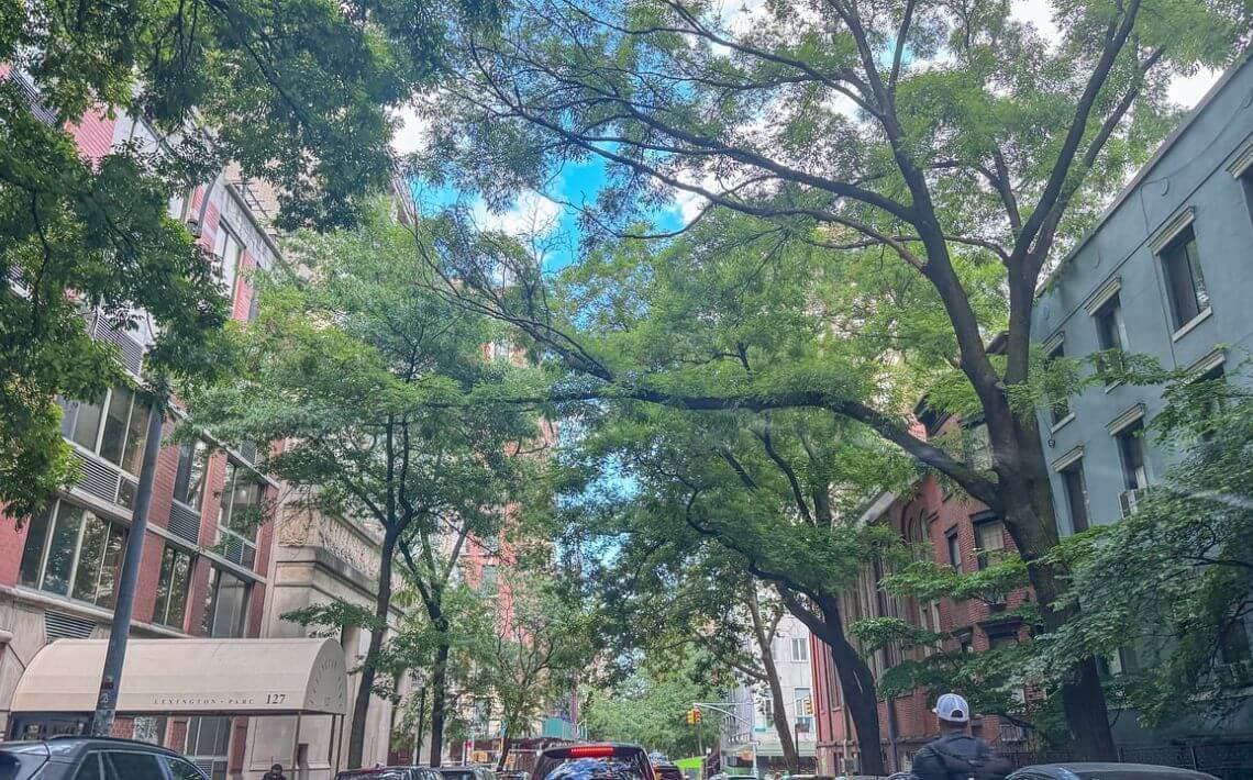 New York Newark Airport to 28 Liberty Street