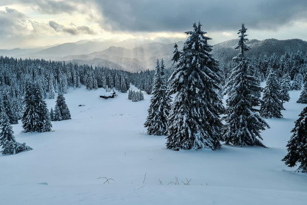 Plovdiv Airport to Pamporovo