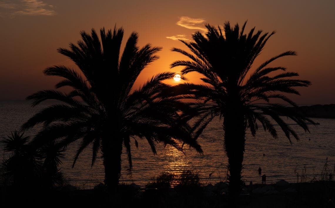 How to Get from Paphos Airport to Coral Bay?