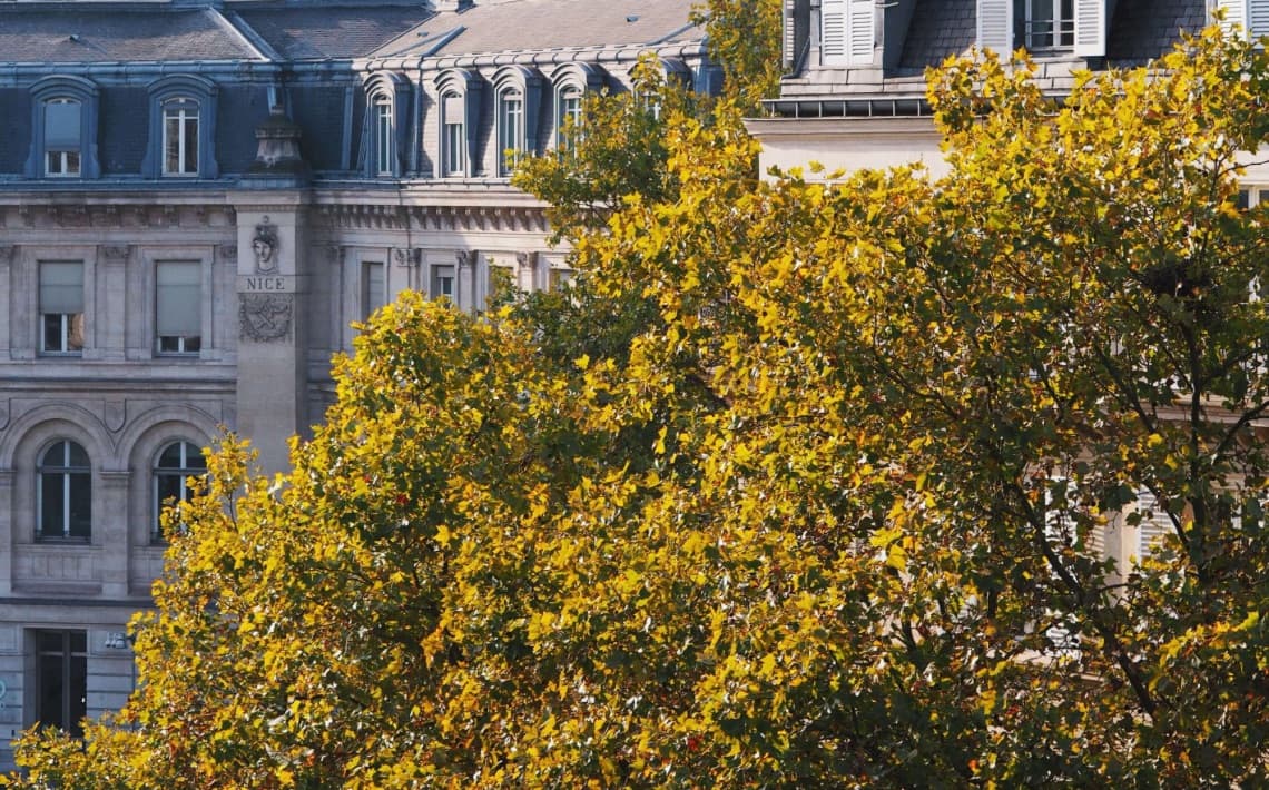 Paris Orly Airport to Gare de Lyon