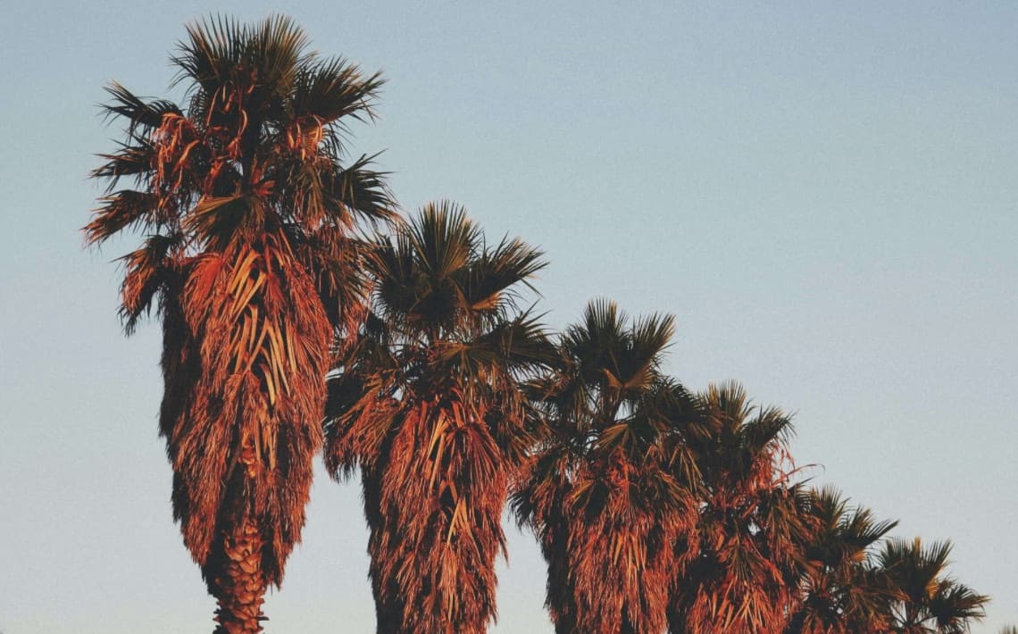 Perpignan Airport to La Sirene