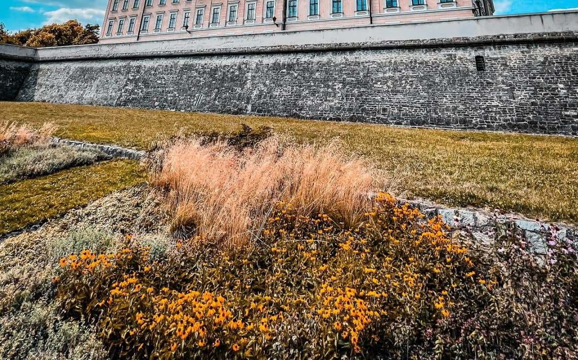 Rzeszów Airport to City Centre