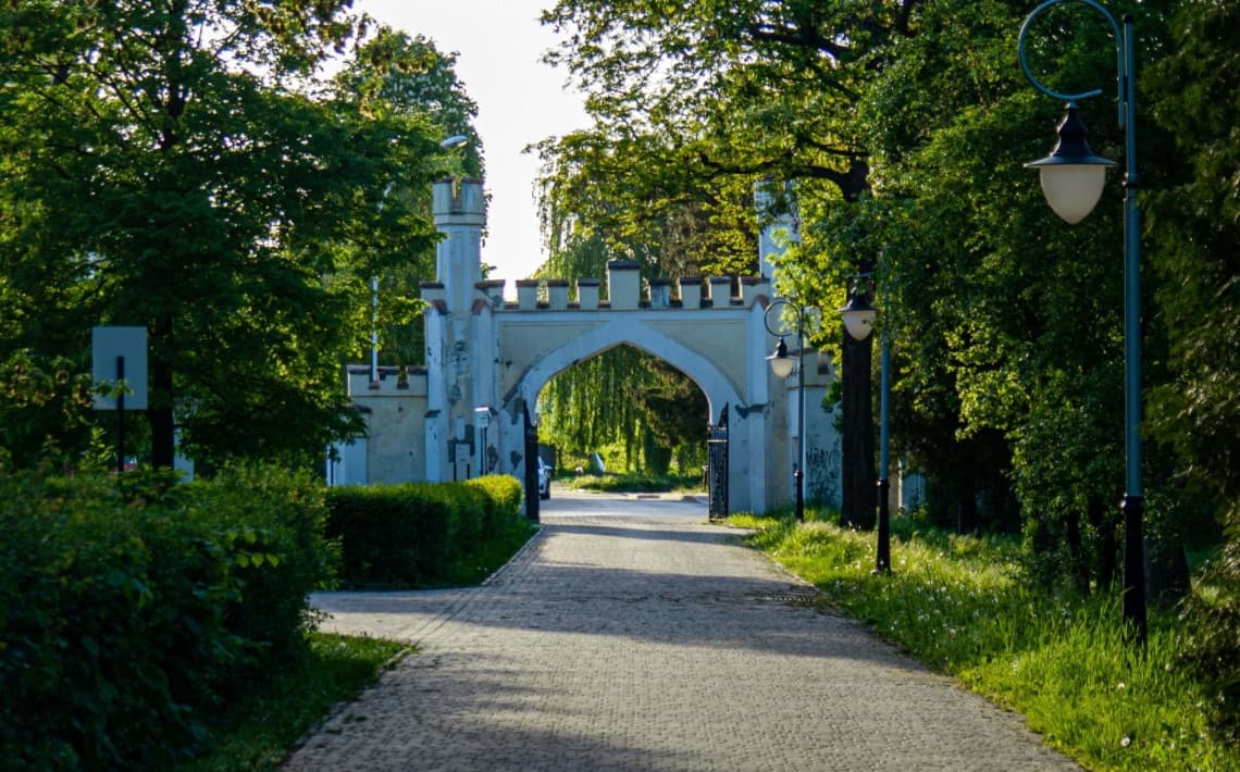 Rzeszów Airport to Przemyśl