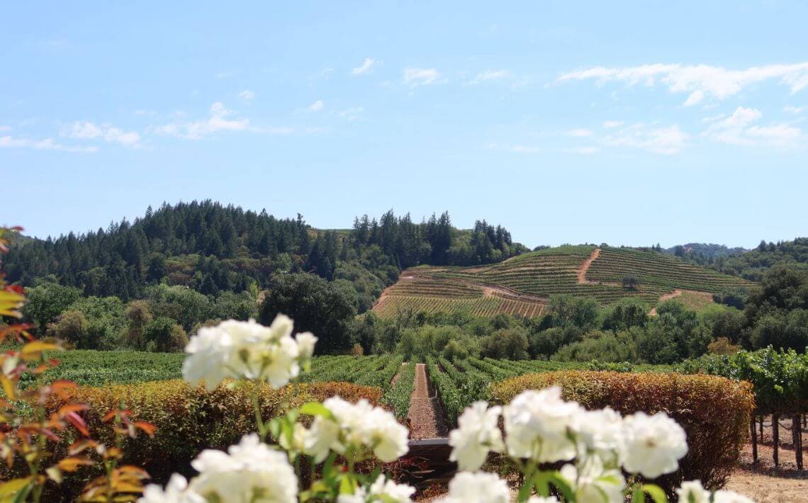 San Francisco Airport to Napa Valley