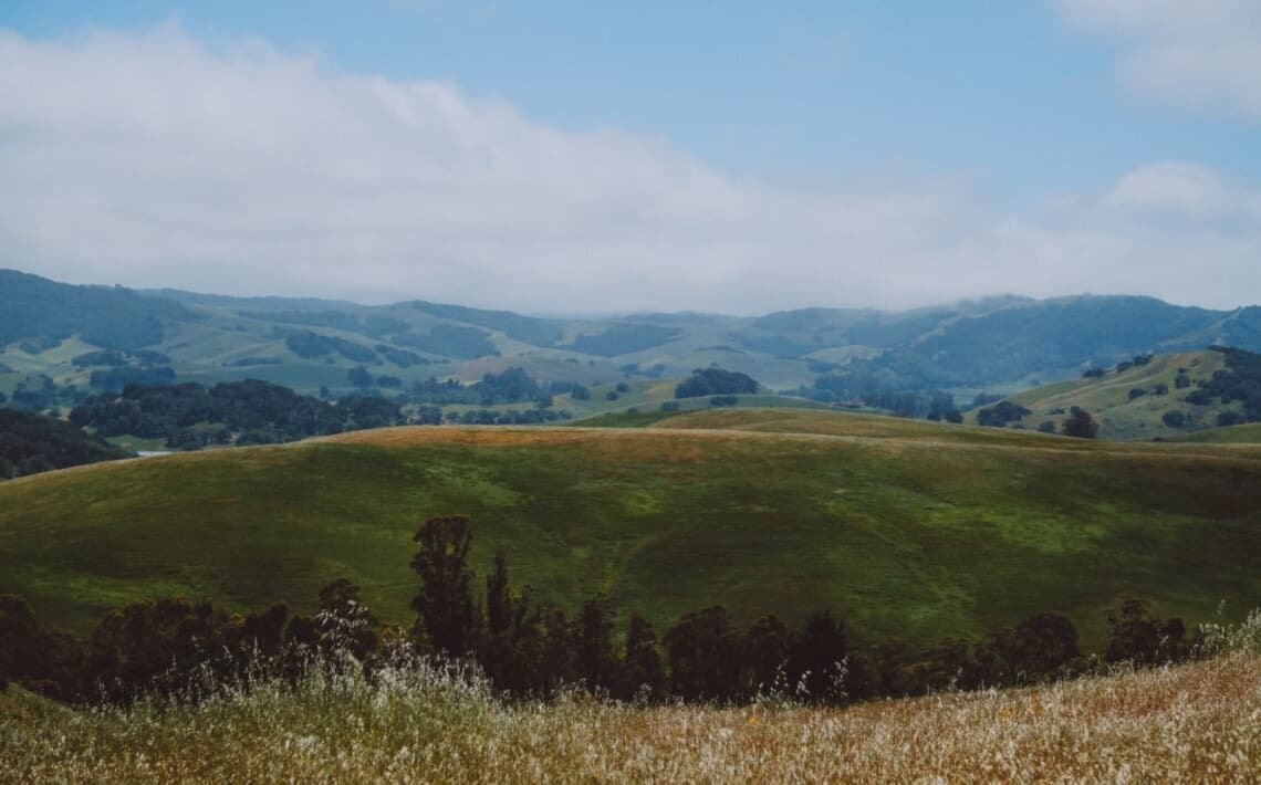 San Francisco Airport to Petaluma