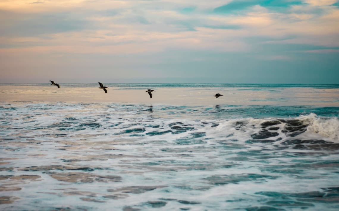 San Francisco Airport to Santa Rosa