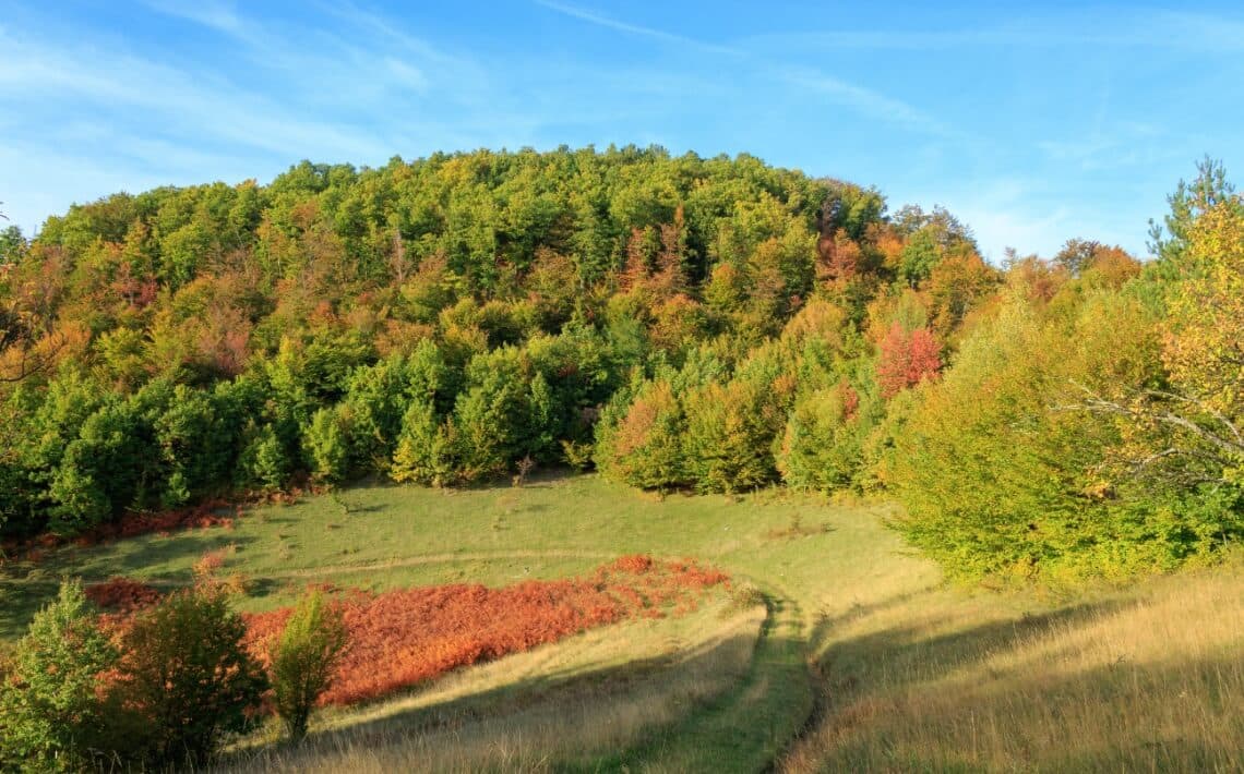Sarajevo Airport to Bjelasnica
