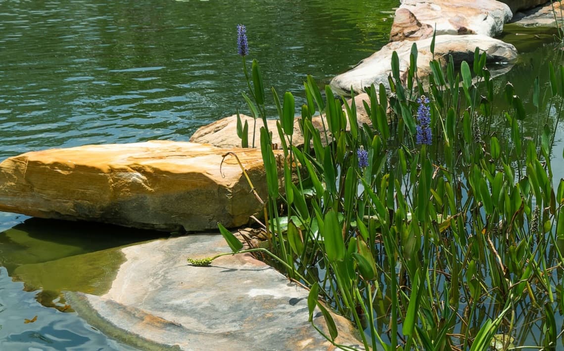 Sarasota Airport to Punta Gorda