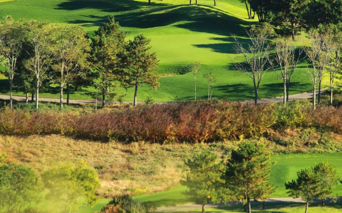 Shenzhen Bao'an Airport to Mission Hills Golf Club