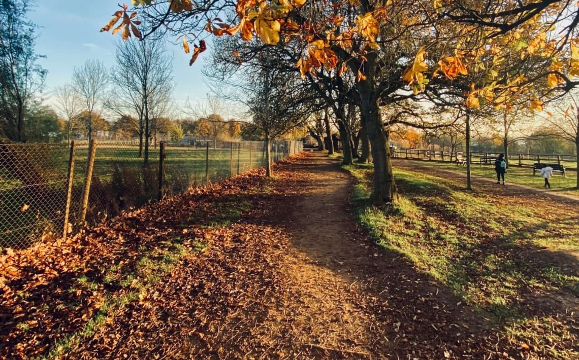 Stansted Airport to Dunstable