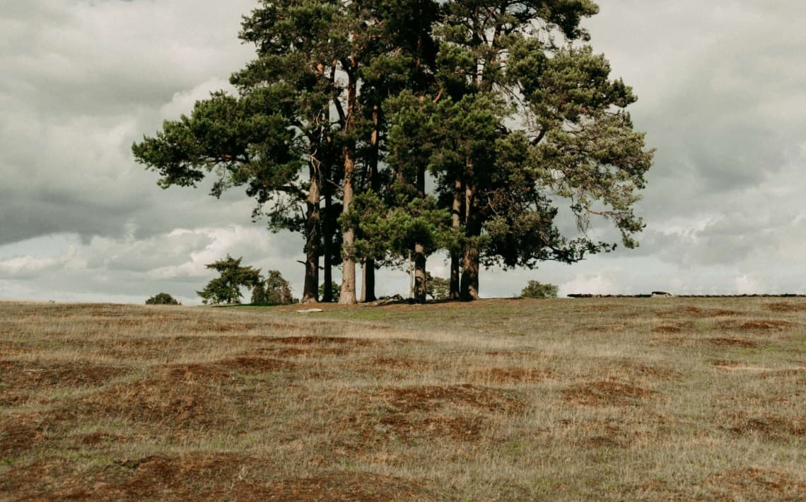 Stansted Airport to Sevenoaks