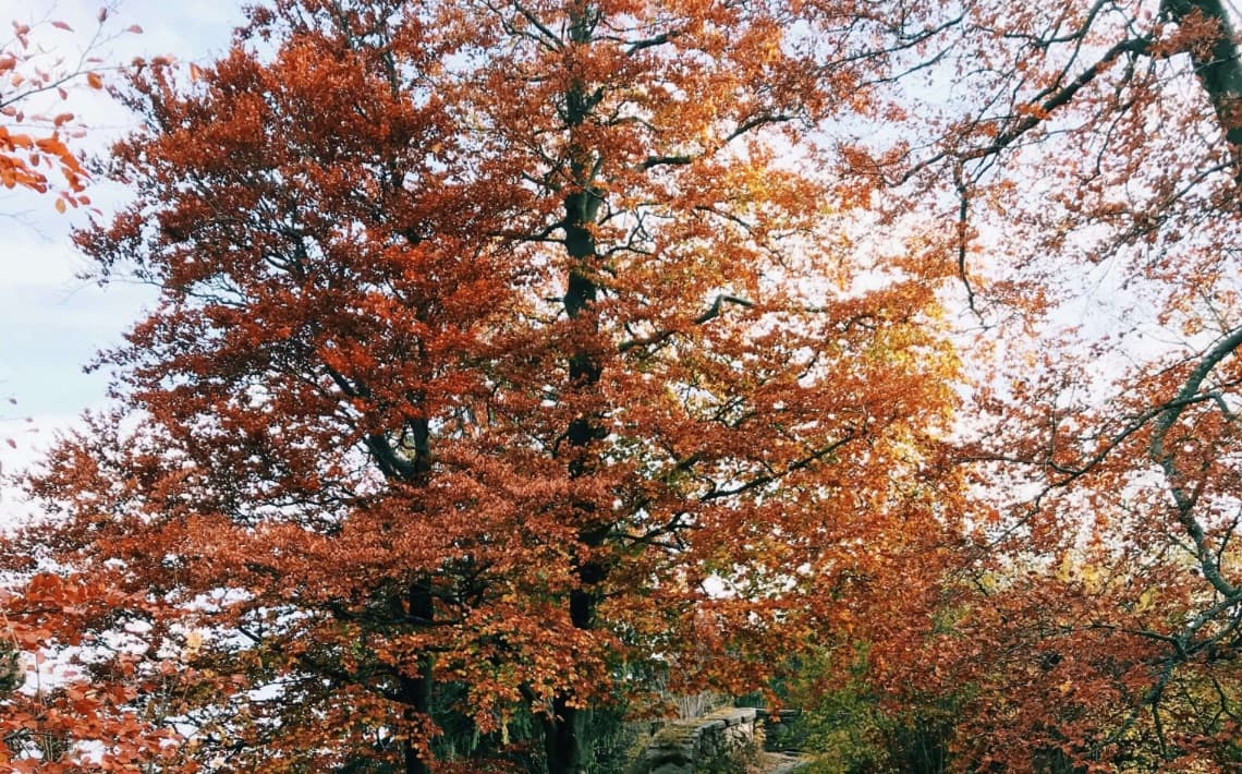 Stockholm Arlanda Airport to Bro Hof Slott Golf Club