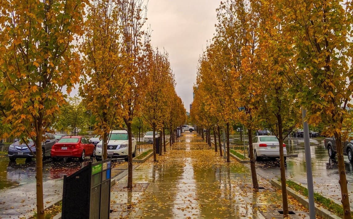 Sunnyvale to San Francisco Airport