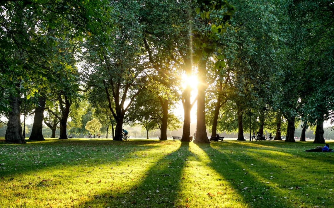 Sydney Airport to Hyde Park